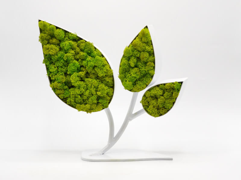 ../images/infinityideas/podkat/_LICHENE desk leaves.jpg